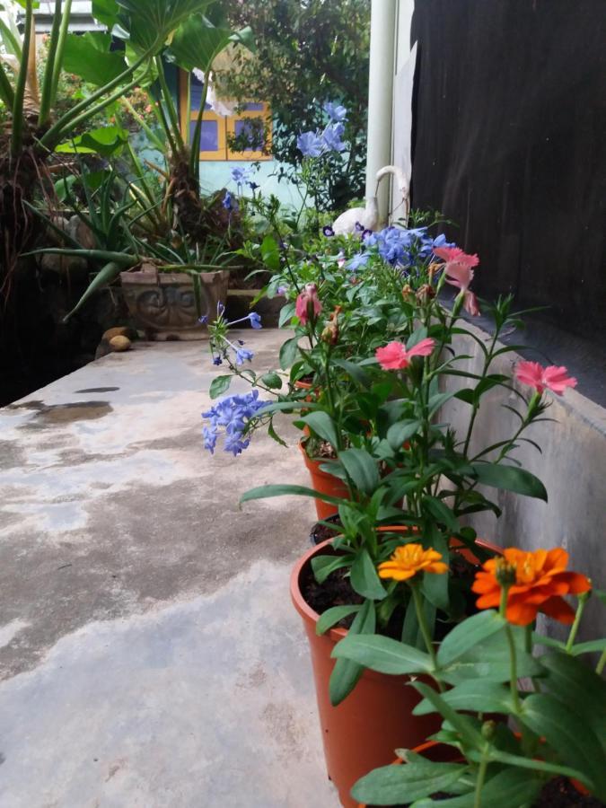 Mazz Homestay Negombo Exteriér fotografie