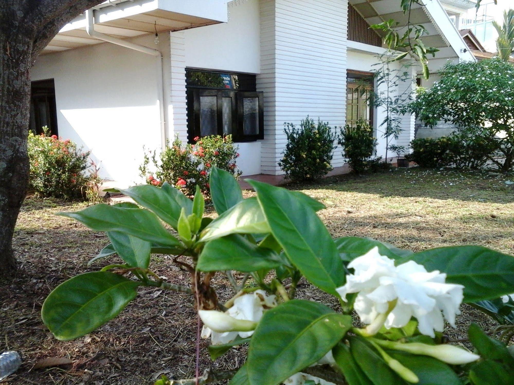 Mazz Homestay Negombo Exteriér fotografie