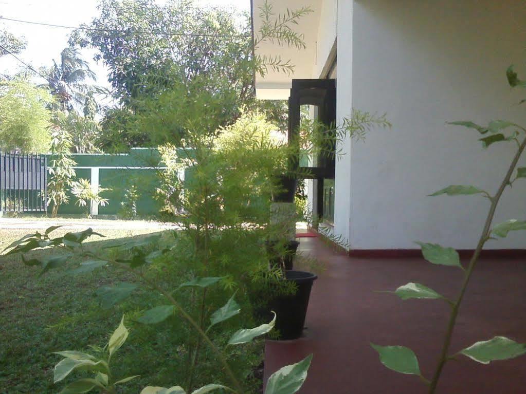 Mazz Homestay Negombo Exteriér fotografie